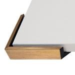 Curiosities I, 25.5" x 35.5"