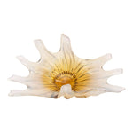Nasha Centerpiece, 18"W x 9.6"D