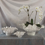 Meteor Bowl, Ivory, 3 Sizes