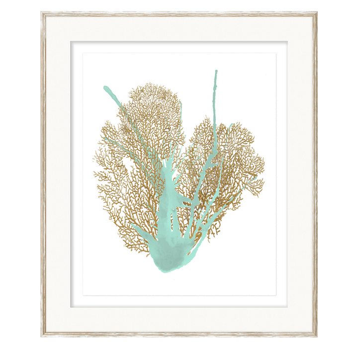 Spa Coral IV, 23" x 27"