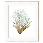 Spa Coral II, 23" x 27"