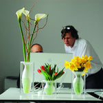 Esmeralda Vase, Medium