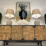 Ancient Cuttlefish II, 34" x 50"