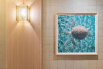 Green Sea Turtle, 43" x 43"