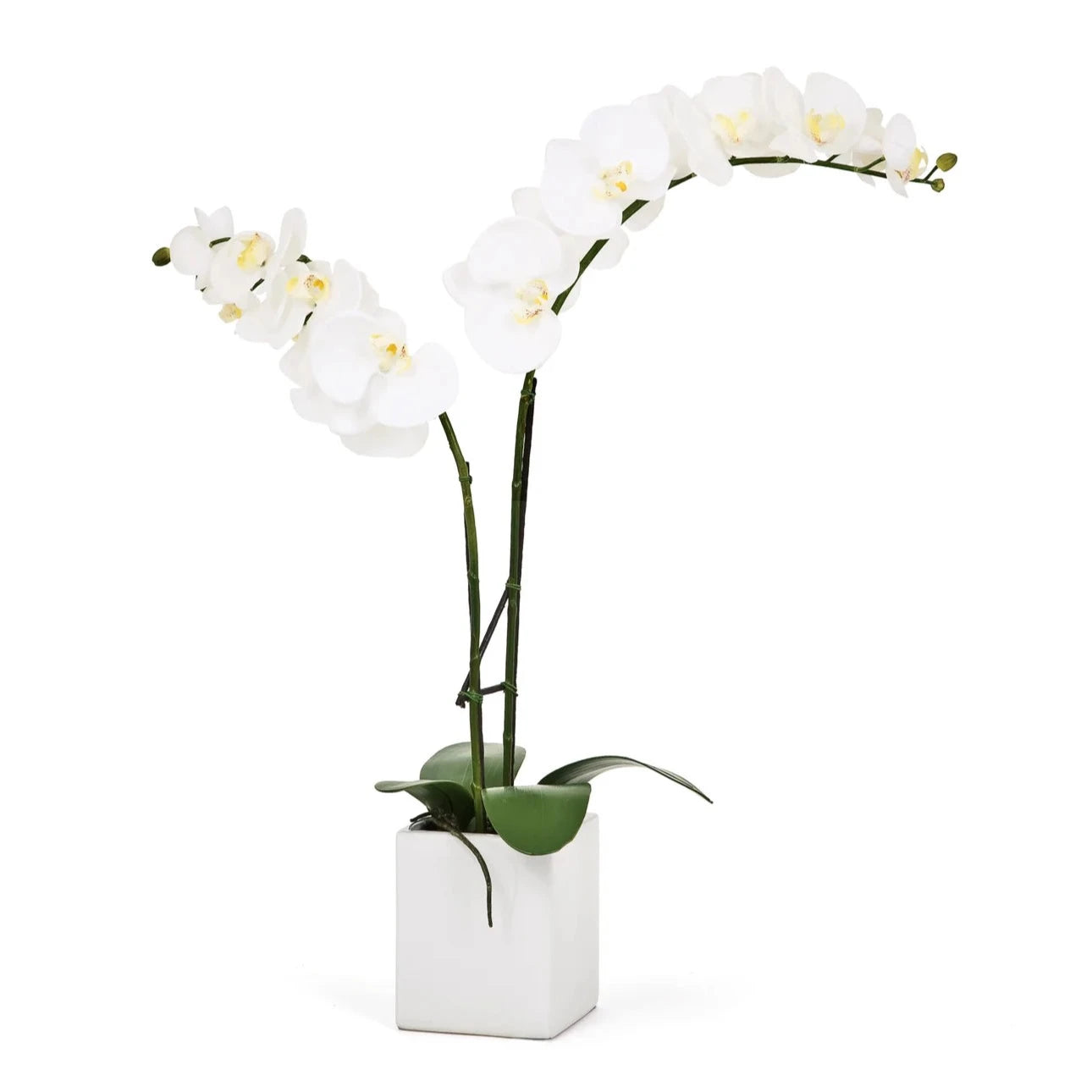 Orchid Potted Faux Double Stem 23", White