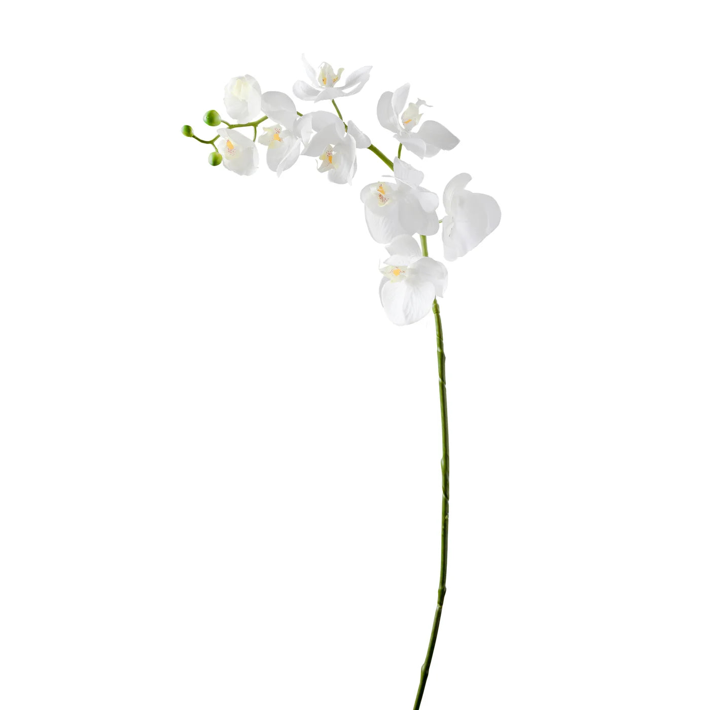 Orchid Faux Single Stem 30",  White