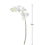 Orchid Faux Single Stem 30",  White