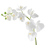 Orchid Faux Single Stem 30",  White