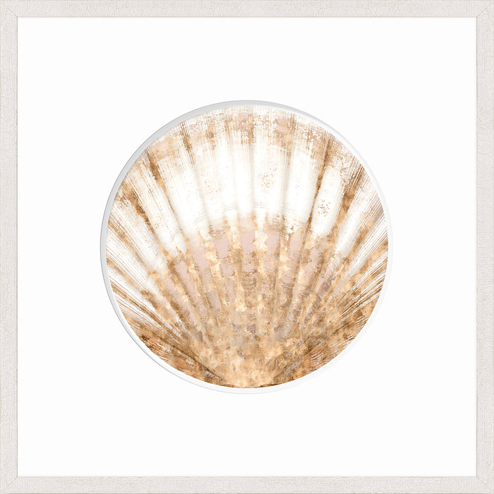 Nautilus VI, 21" x 21"