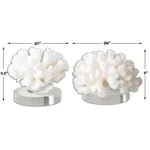 Hard Coral Sculpture, S/2