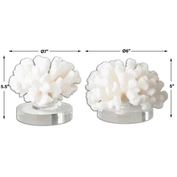 Hard Coral Sculpture, S/2