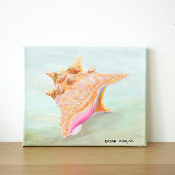 Conch Shell I, 10"W x 8"H