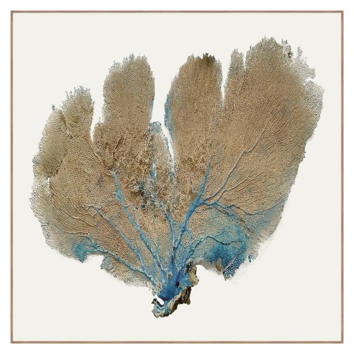 Blue Infusion III, 37.25" x 37.25"