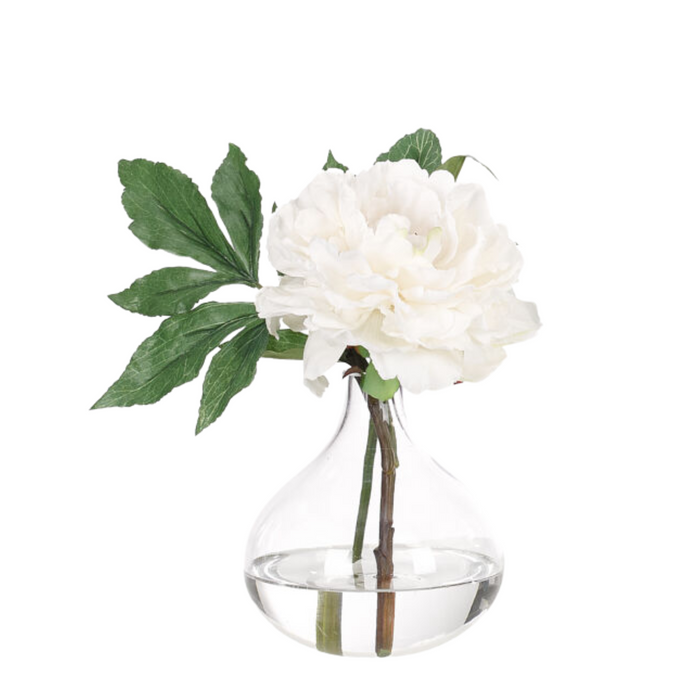 Peony, Faux Watergarden, 9"