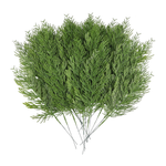 Cypress Branch Stems, 14"