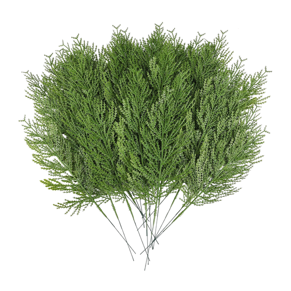 Cypress Branch Stems, 14"