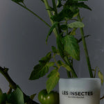 Les Insectes Large Candle, 10.6 fl oz