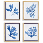 Indigo Seaweed Prints, 4 Styles, 19.25"W x 23"H