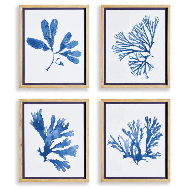 Indigo Seaweed Prints, 4 Styles, 19.25"W x 23"H