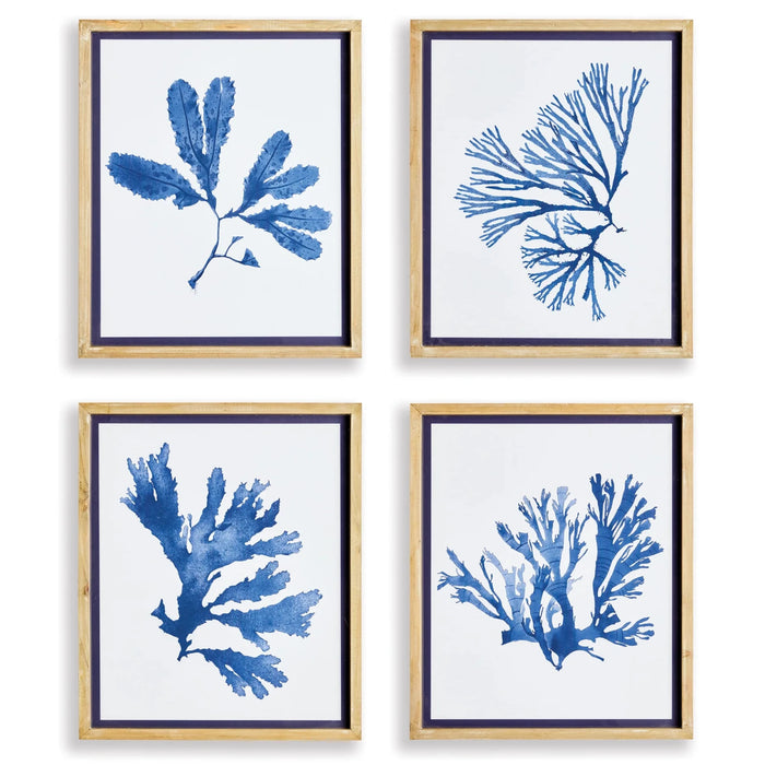 Indigo Seaweed Prints, 4 Styles, 19.25"W x 23"H