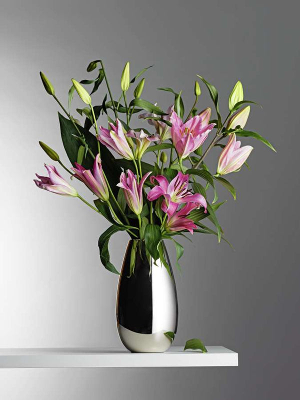 Anais Vase, Large