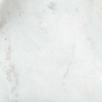 Octora Tray, 12"W