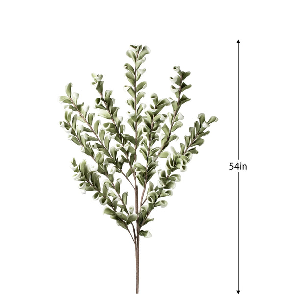 Desert Multi Bloom Eucalyptus 54" Stem, Green