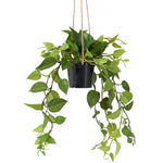 Ivy Hanging Faux Potted Plant With String Hanger