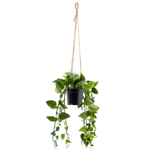 Ivy Hanging Faux Potted Plant With String Hanger