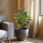 Rubber Tree 29" Faux Potted Plant