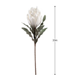 Desert Blooming Protea 33" Stem, White