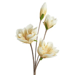 Desert Four Bloom Magnolia 41" Stem, Yellow