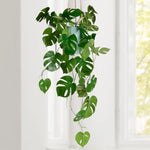 Monstera Faux 33L" Multi Leaf Vine Spray