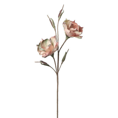 Desert Bloom Vintage Magnolia 46" Stem, Pink