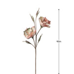 Desert Bloom Vintage Magnolia 46" Stem, Pink