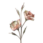 Desert Bloom Vintage Magnolia 46" Stem, Pink