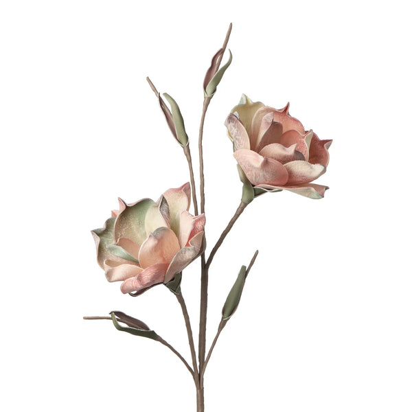Desert Bloom Vintage Magnolia 46" Stem, Pink