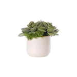 Succulent Faux Arrangement, 7"H, 4 Styles
