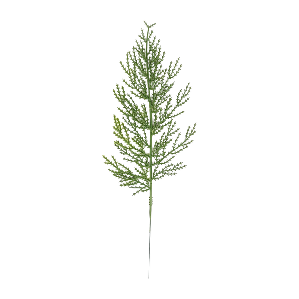 Cypress Branch Stems, 14"