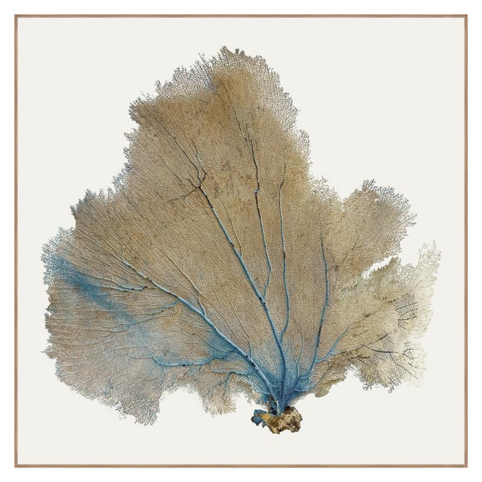 Blue Infusion II, 37.25" x 37.25"