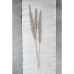 Dried Natural Pampas Grass Bunch