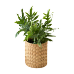Asheville Medium Planter - Natural, 11.5"Dia