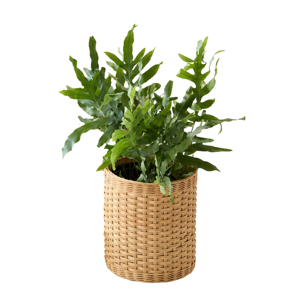 Asheville Medium Planter - Natural, 11.5"Dia