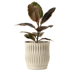 Pli Planter