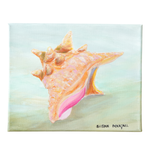 Conch Shell I, 10"W x 8"H