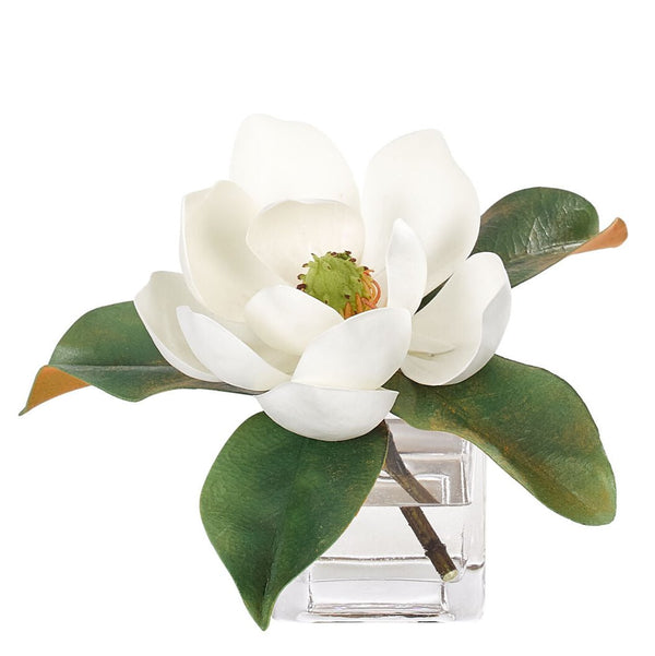 Magnolia, White, in Glass Cube Faux Watergarden, 7″