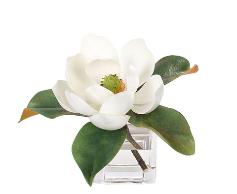 Magnolia, White, in Glass Cube Faux Watergarden, 7″