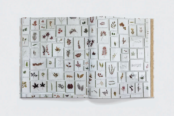 Kerry Joyce: The Intangible