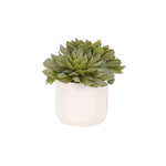 Succulent Faux Arrangement, 7"H, 4 Styles