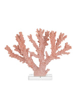Fire Large Coral, 10"H x 13.25"W x 3.25"D